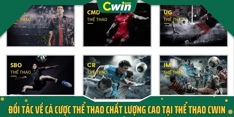 Đối tác về cá cược thể thao chất lượng cao tại thể thao CWIN