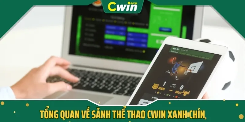 Tổng quan về sảnh thể thao CWIN xanh chín